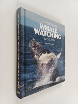 Megan Whittaker : The Wonders of Whale Watching in Icelan...
