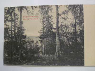 VANHA Postikortti Lohja Vaanila 1900-luku