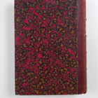 Alice Muriel Williamson ym. : Lord Loveland Discovers Ame... - pikkukuva 2