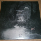 Amorphis: Silent Waters 2LP 1. painos - pikkukuva 2