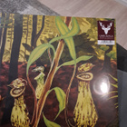 Uhrijuhla -jokainen on vapaalintu lp (limited 150) - pikkukuva 1