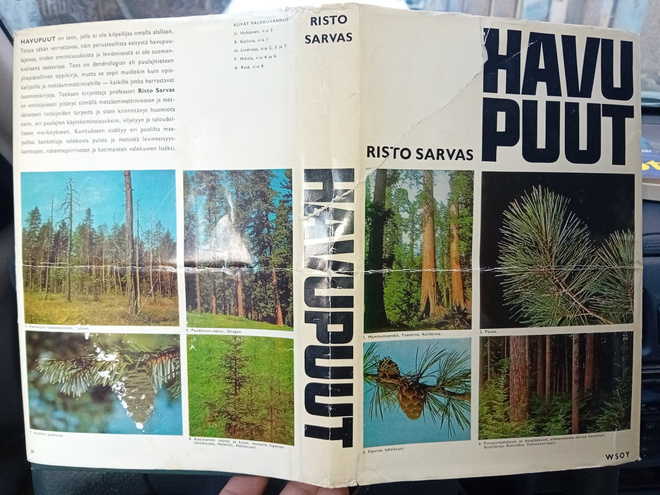 Risto Sarvas : Havupuut  ( 1p. 1964 ) Sis. postikulut