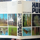 Risto Sarvas : Havupuut  ( 1p. 1964 ) Sis. postikulut - pikkukuva 1