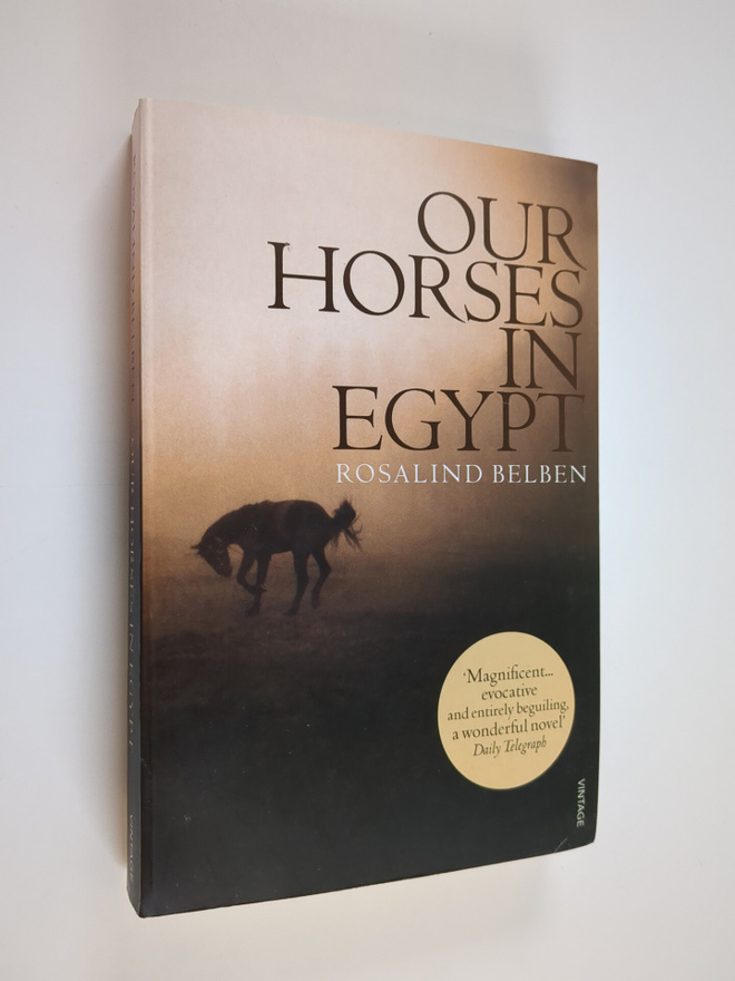 Rosalind Belben : Our horses in Egypt