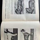 Suomen Kennel-Liiton jäsenlehdet vsk 1956 - pikkukuva 5