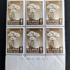 1949 Tuberkuloosi 15mk+5mk numerokuusilo ** - pikkukuva 1