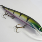 Karikko vaappu 15cm - pikkukuva 1