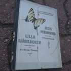 EINAR FIEANDT : PIENI PERHOSKIRJA ; v 1921 - pikkukuva 1