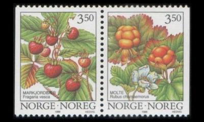 Norja 1204-5 ** Marjoja (1996)