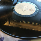 Little Feat . Hoy-hoy! 2 x LP vinyyli - pikkukuva 5