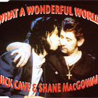 Nick Cave & Shane MacGowan – What A Wonderful World - pikkukuva 1