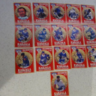 MAAILMANMESTARI 1995, KARJALA 16 kpl - pikkukuva 1