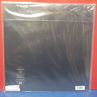 THESE NEW PURITANS - HIDDEN M-/M- EU 2010 180G LP - pikkukuva 2