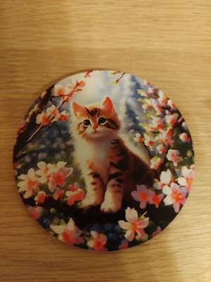 Kissa jääkaappi magneetti.