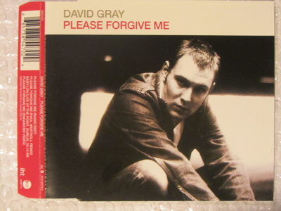 David Gray • Please Forgive Me CD-Single