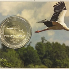 Latvia 2 euro 2015 Haikara, kortissa BU - pikkukuva 1