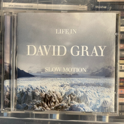 DAVID GRAY - Life In Slow Motion cd