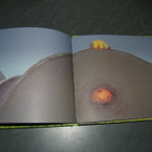 Rodriguez - Verlag Der Hühnerdieb - pikkukuva 2