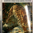 Mexican Game Trails: Americans Afield in Old Mexico, 1866... - pikkukuva 1