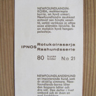 IPNOS.....Rotukoirasarja, kuva 80/21. Newfoundlandinkoira. - pikkukuva 2
