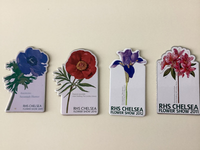 Chelsea Flower Show jääkaappimagneetti 4 kpl