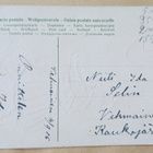 Tyttö sievässä mekossa leikkii ilmapallolla niityllä, 1906 - pikkukuva 2