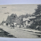 VANHA Postikortti Terijoki Luov Karjala 1909 - pikkukuva 1