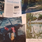 Ford Thunderbird - pikkukuva 3