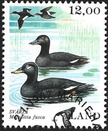 Åland 1987 Lintusarjas12,00 mk EP Lape 022  alareuna LOISTO