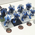 WHFB - 8kpl Lizardman Saurus Warriors - pikkukuva 2