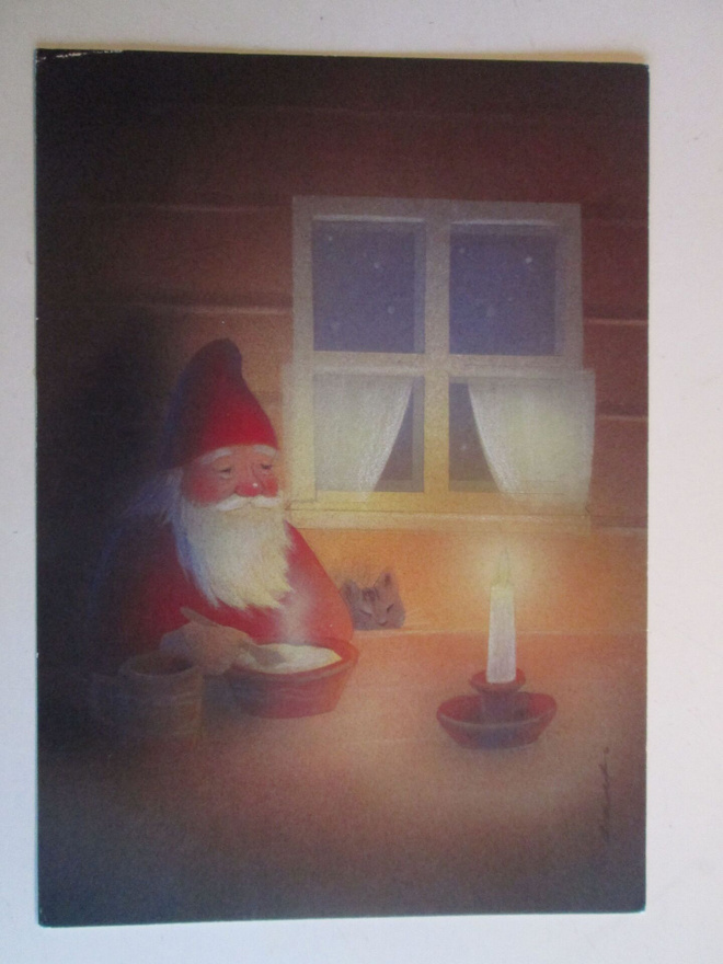 KULKEMATON TONTUN JA KISSAN PUUROHETKI JAANA AALTO