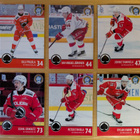 2024-25 Blueline Series 1 Ässät Team Set 12 korttia (181-192 - pikkukuva 2
