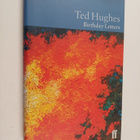 Ted Hughes : Birthday letters - pikkukuva 1