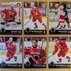 2024-25 Blueline Team Set kortteja 0,30 EUR/kpl - pikkukuva 4