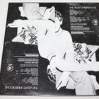 The Velvet Underground LP - pikkukuva 2