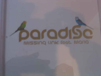 CDS PARADISO-MISSINQ LINK SCAT MARIA