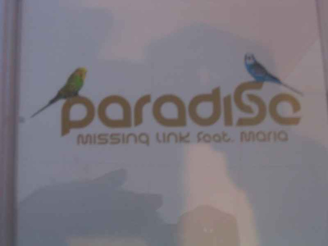 CDS PARADISO-MISSINQ LINK SCAT MARIA