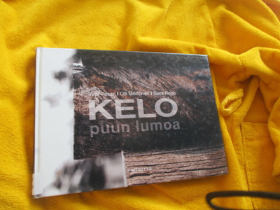 Virpi Tissari : Kelo puun lumoa