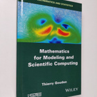 Thierry Goudon : Mathematics For Modeling - pikkukuva 1