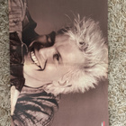 Madonna/ Billy Idol pikkujuliste - pikkukuva 2