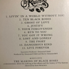 THE RASMUS: BLACK ROSES - pikkukuva 2