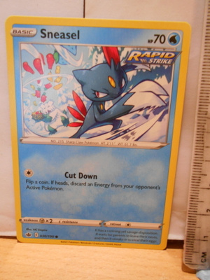 Sneasel 030/198