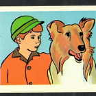 Keräilykuva - Disney - Lassie - pikkukuva 1