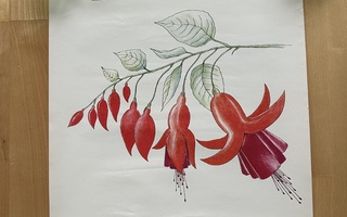 Veripalvelu Vintage mainosjuliste ( 35 x 50 cm ) 1984