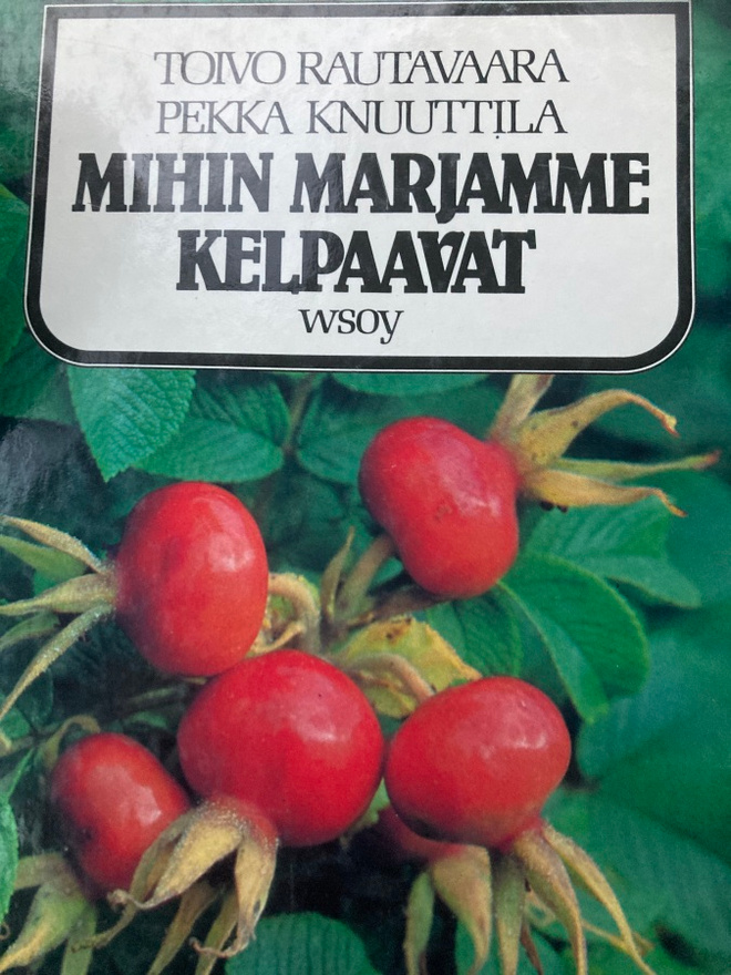 RAUTAVAARA - KNUUTTILA: MIHIN MARJAMME KELPAAVAT