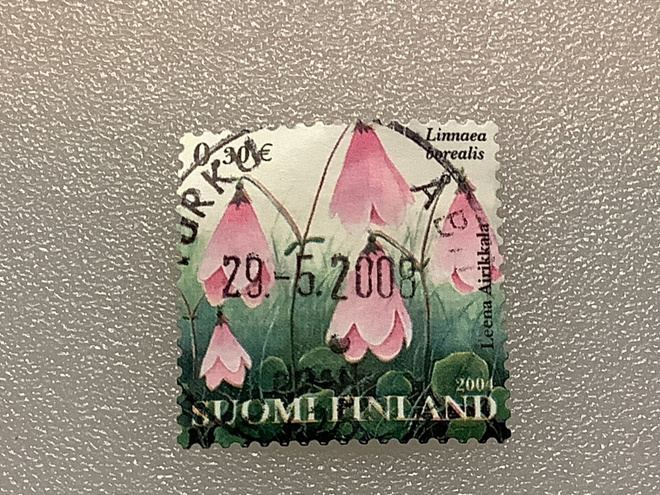 1679/ 2004 Vanamo o leimattu loisto
