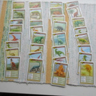 Dinosaurus pelikortti ja postikortti setti. - pikkukuva 1