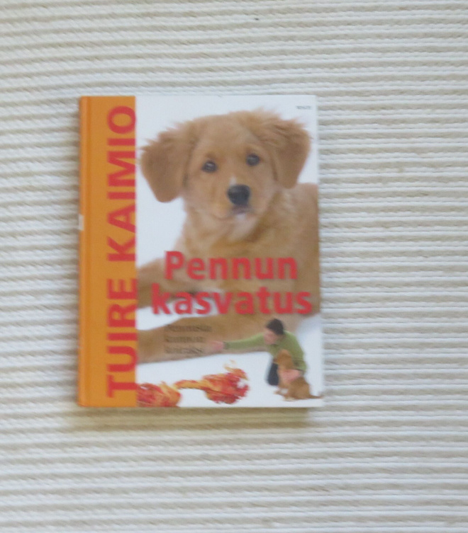 Pennun kasvatus - Pennusta kunnon koiraksi