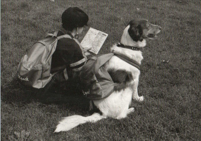 KOIRA POSTIKORTTI