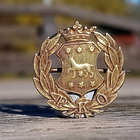 Kullanvärinen Vaakunamerkki. Halkaisija - 19 mm. Hyväkuntoin - pikkukuva 2